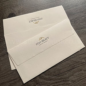 Bespoke DL mist colorplan envelopes with black and gold foil print.